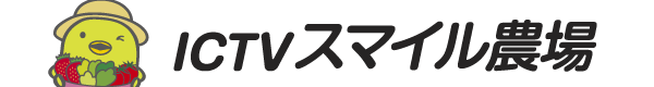 メンテナンス